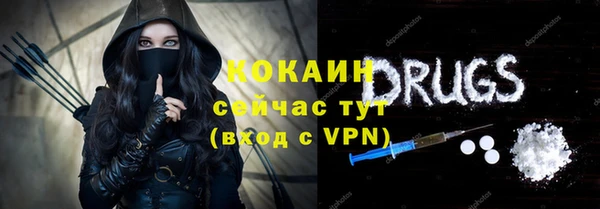 гидра Струнино