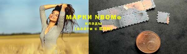 PSILOCYBIN Строитель