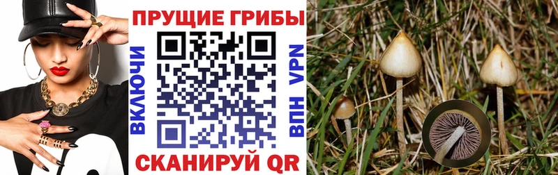 Галлюциногенные грибы Magic Shrooms  Мглин 